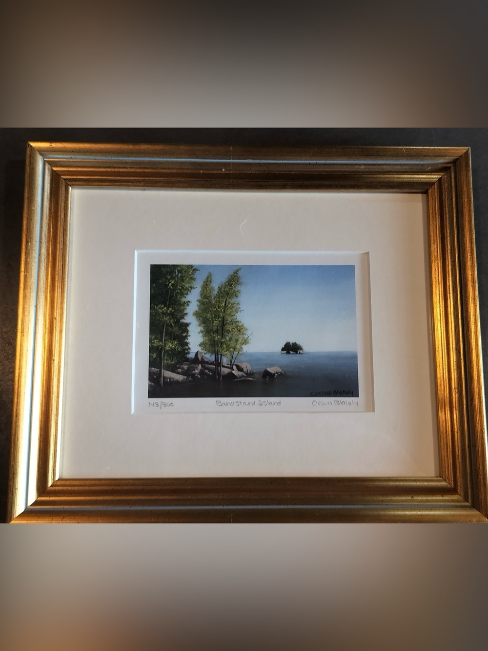 Corliss Blakely Signed Print Bandstand Island VT Framed Art
